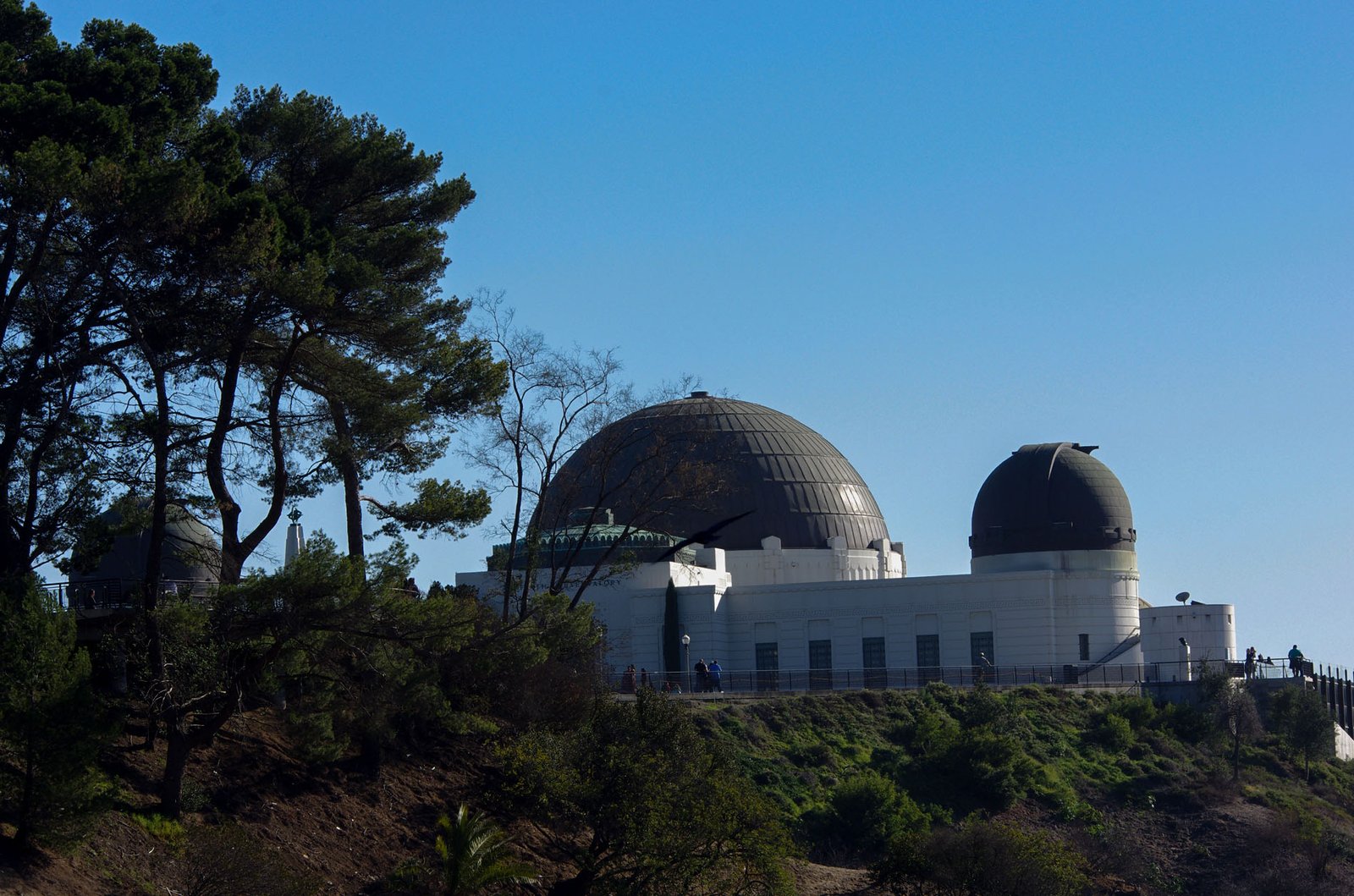 Griffith Observatory  047